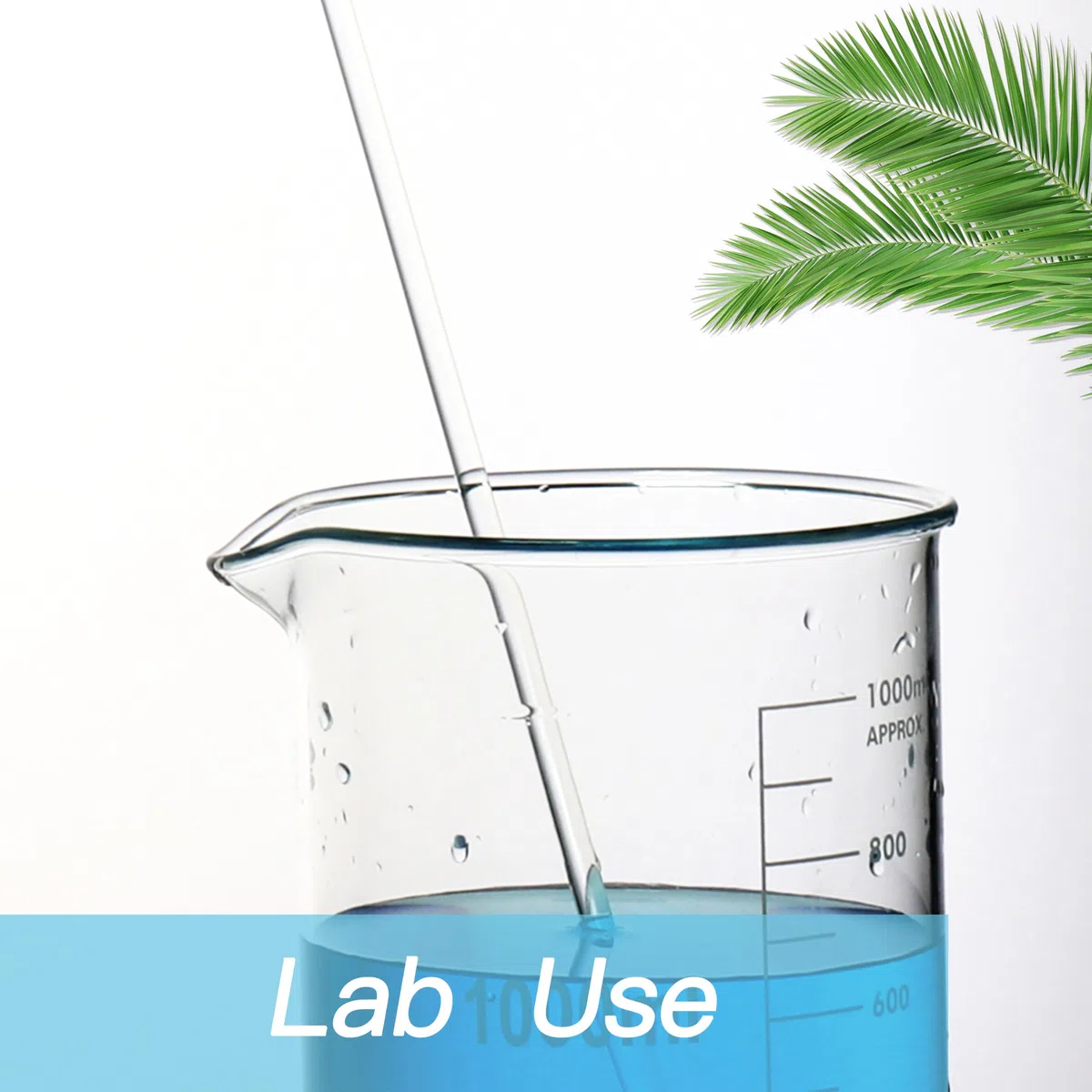 Glas Berker 5000ml, Borosilikatglas Becher mit Graduierung für Labor, Küche, Schule UBG1024