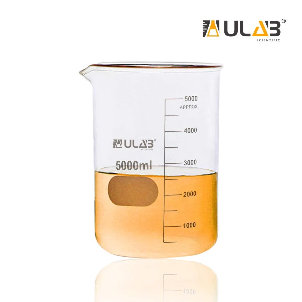 Glas Berker 5000ml, Borosilikatglas Becher mit Graduierung für Labor, Küche, Schule UBG1024